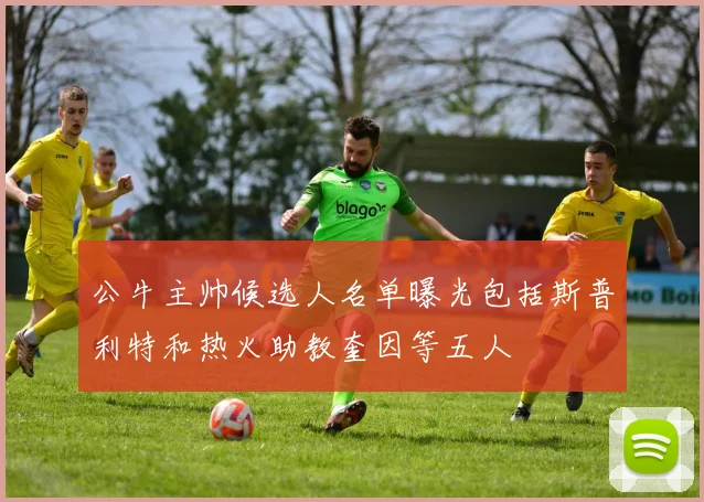 公牛主帅候选人名单曝光包括斯普利特和热火助教奎因等五人