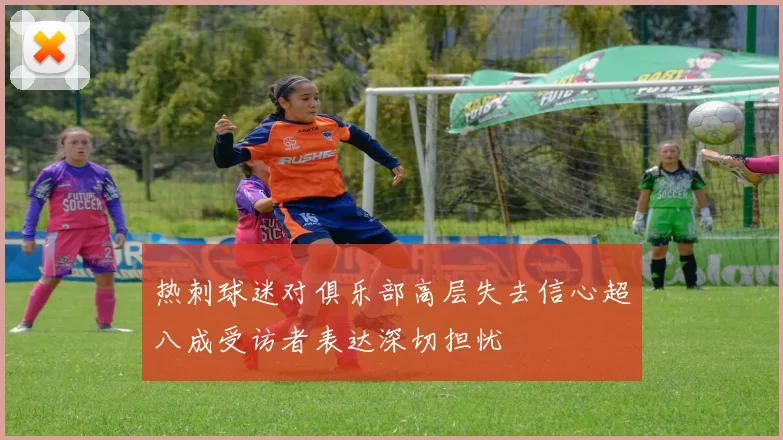 热刺球迷对俱乐部高层失去信心超八成受访者表达深切担忧